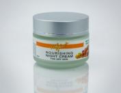 Holy Fruit Питающий ночной крем для сухой кожи - Nourishing Night Cream for Dry Skin, 50 мл., «N. S. P. Natural Skin Products LTD», Израиль 